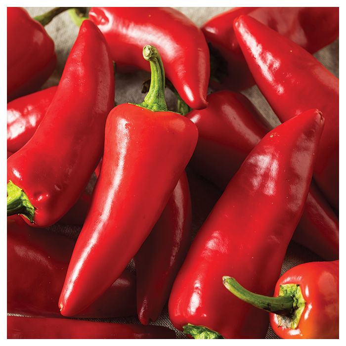 Fresno chilli deals peppers