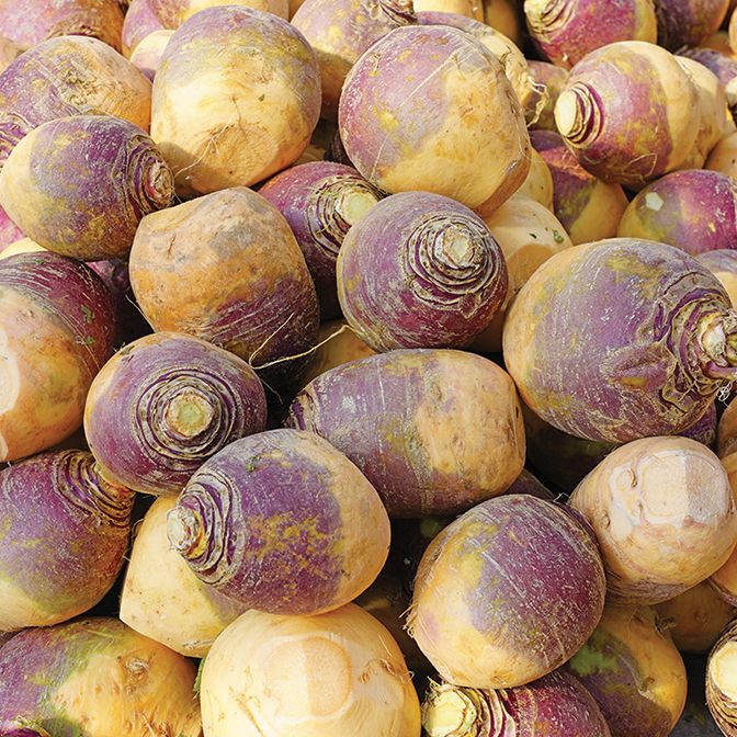  Swede - Acme 