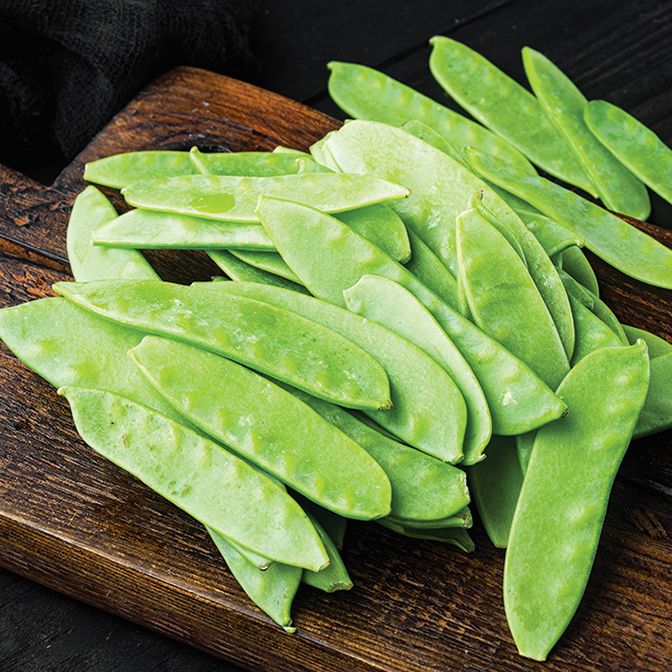  Oregon Sugar Pod (mangetout)