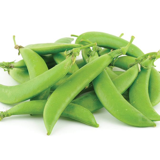  Sugar Snap 