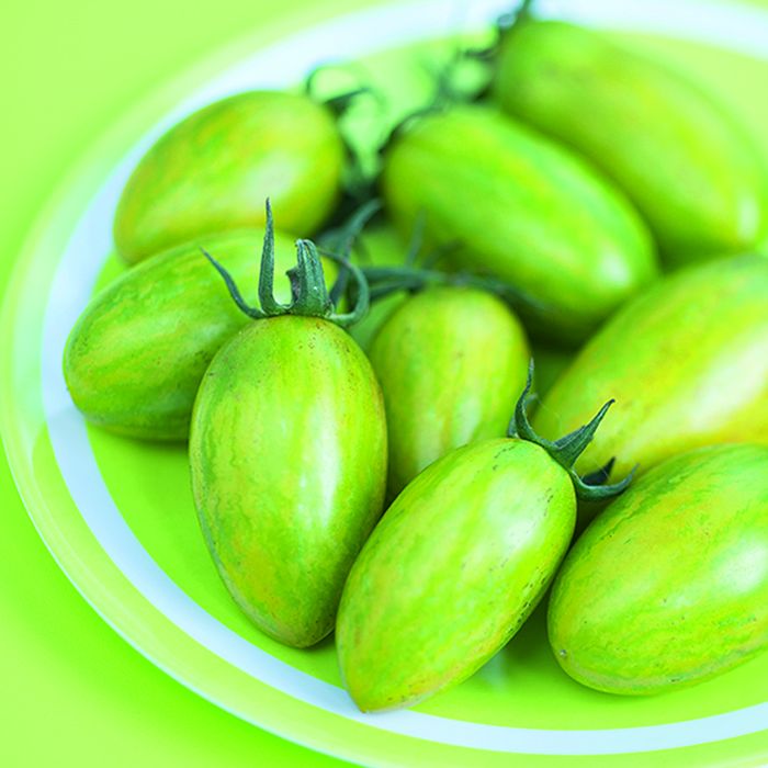  Tomato - Green Tiger 