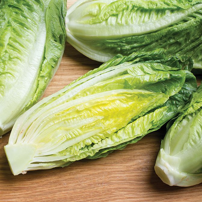 Romaine