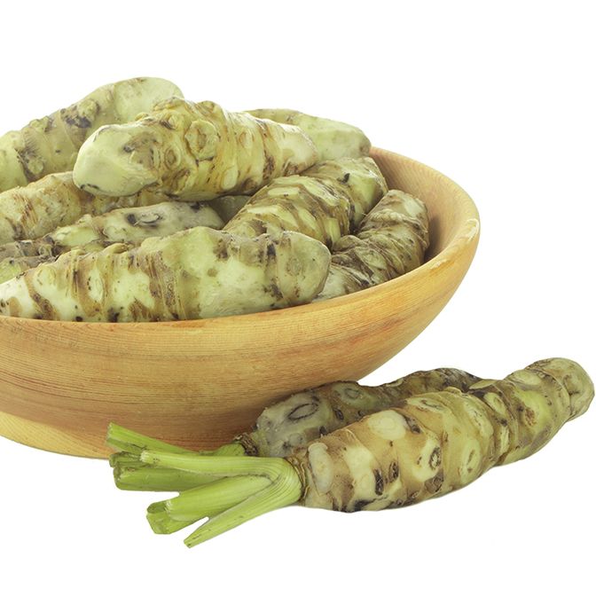 Wasabi Japonica