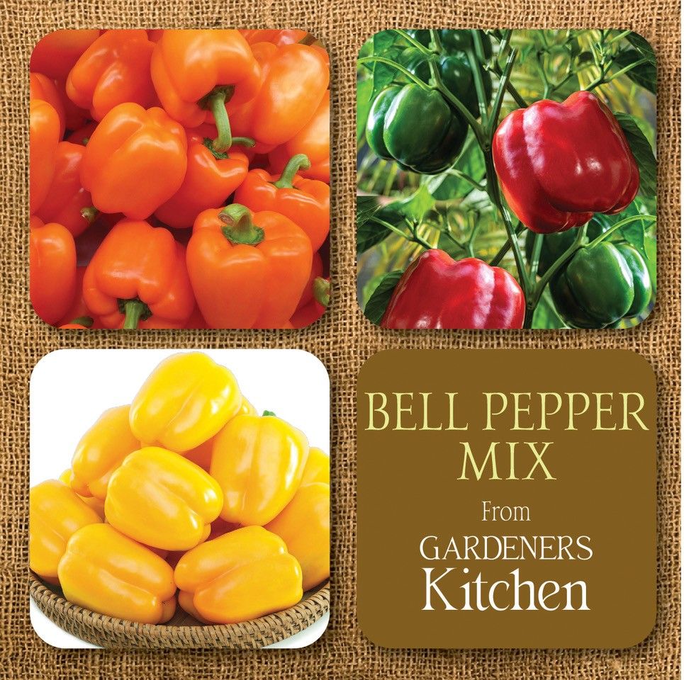 Pepper Bell Mix