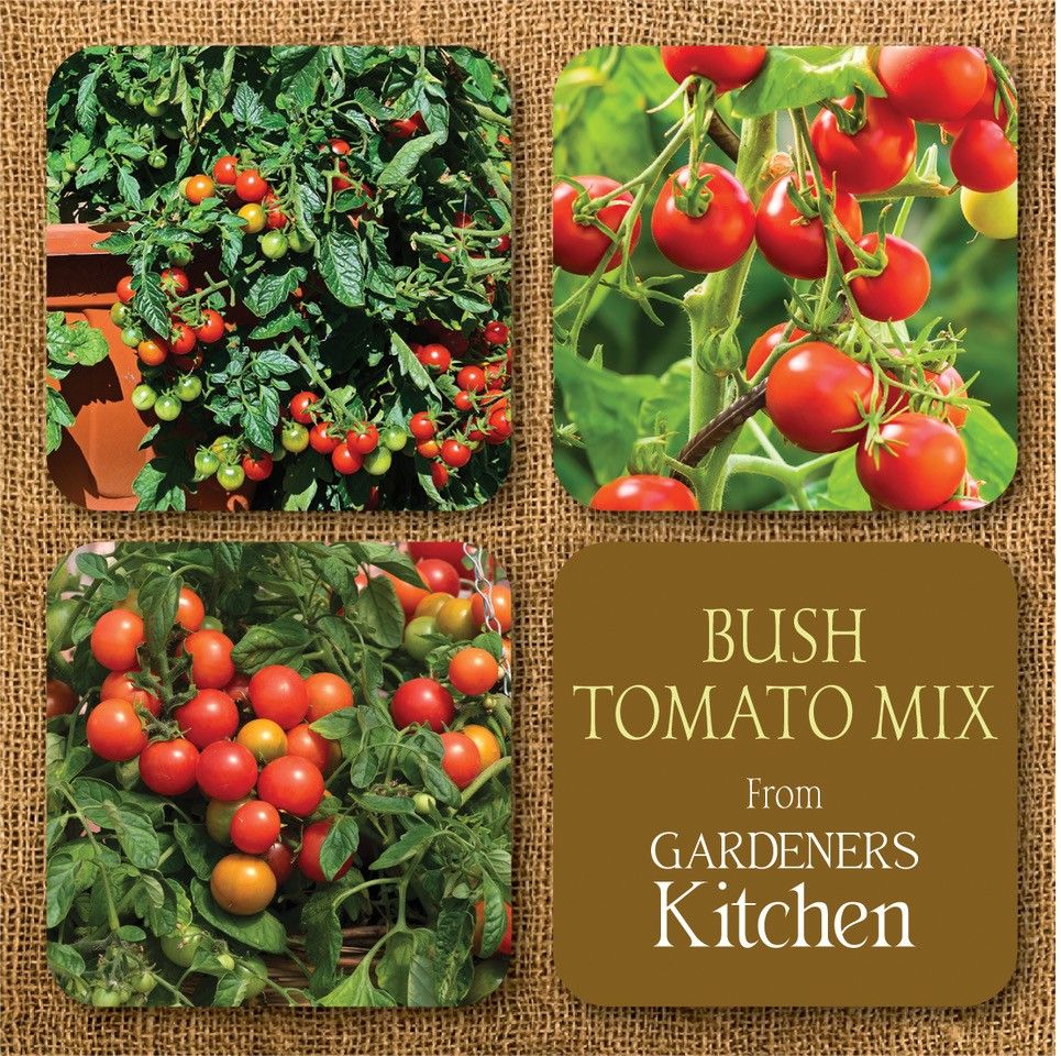 Tomato Bush Mix