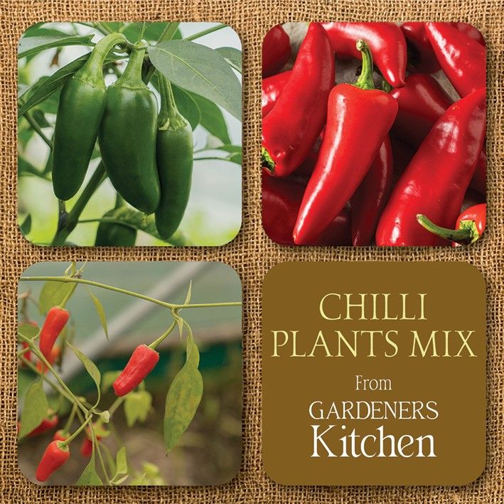 Chilli Mix