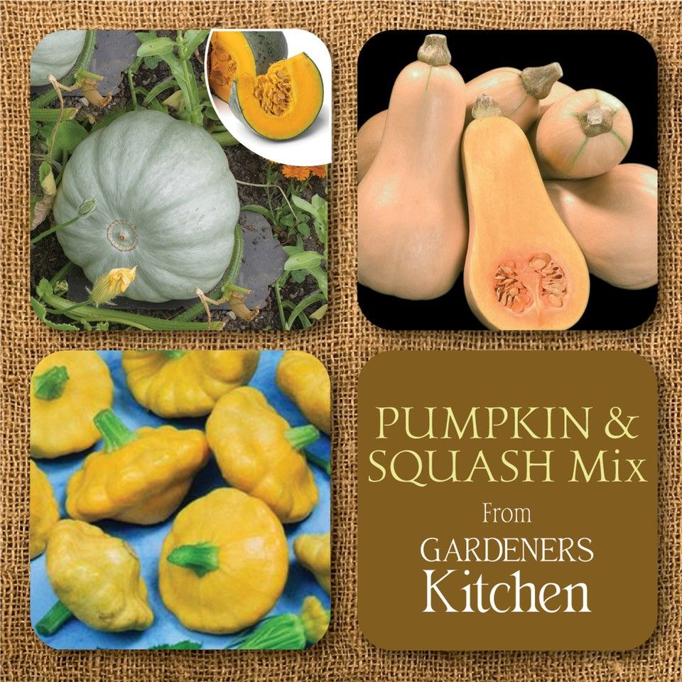 Squash Mix