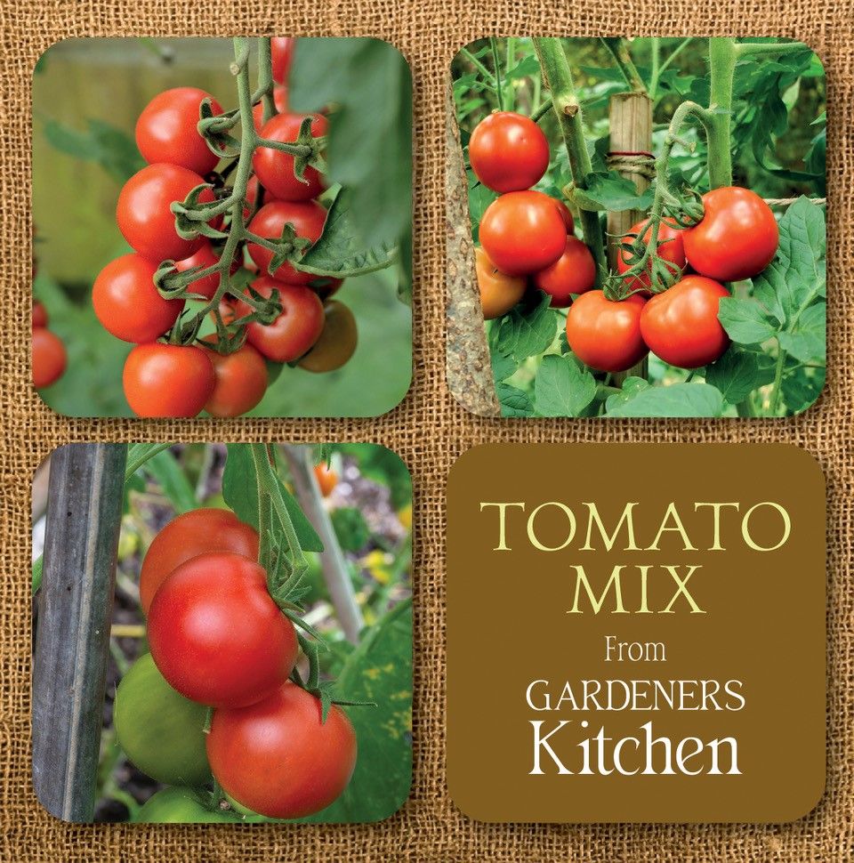 Tomato Mix 1