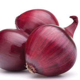  Onion - Red Baron 