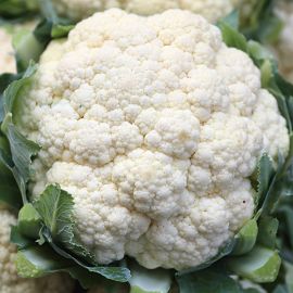  Cauliflower - All Year Round 