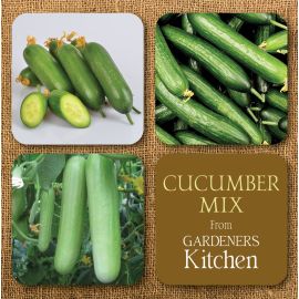 Cucumber Mix 2