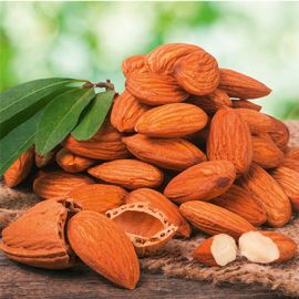 Nut Me - Almond fruit tree