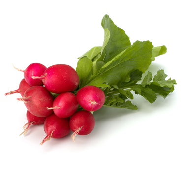 Radish